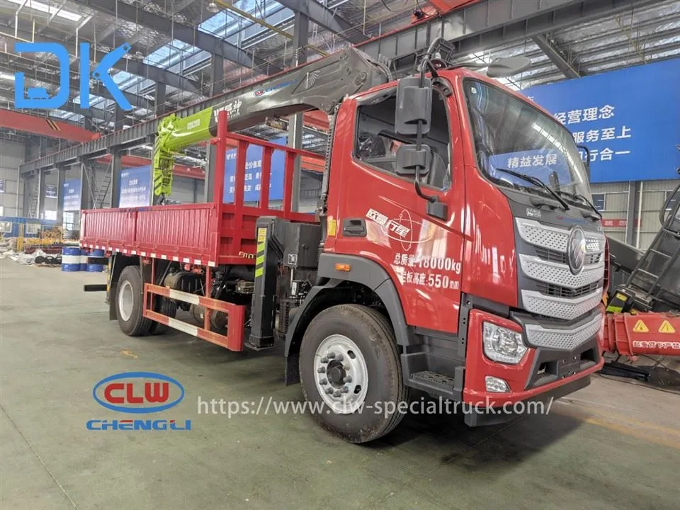 Foton Auman 4.5 meter Jarak Roda Vison Edisi Tertinggi 10 Tan